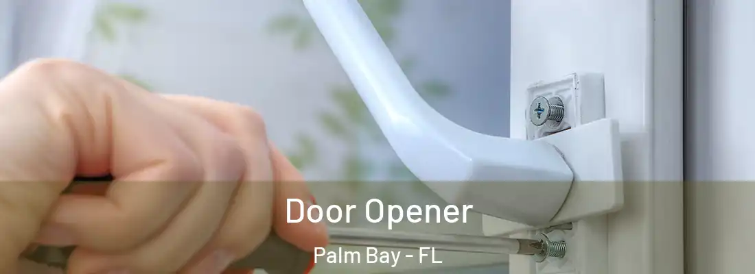 Door Opener Palm Bay - FL